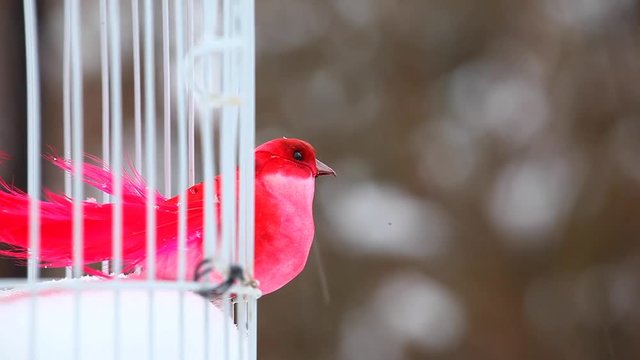 red toy bird white outdoor metal cage winter snow hd footage 