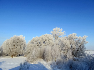 Winter landscape on the outskirts of the village, view from the window