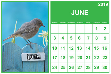 June 2019 calendar on english with a bird perched on a June decorated fence, landscape orientation