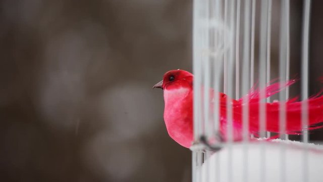 red toy bird white outdoor metal cage winter snow hd footage 