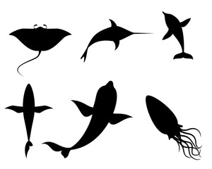 Silhouettes of sea creatures