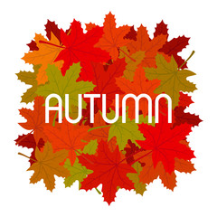 Autumn Logo