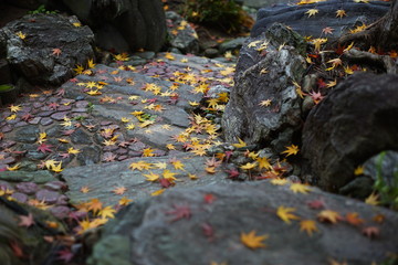 石畳に積もる紅葉の落ち葉