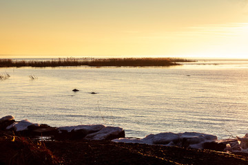 Last Light