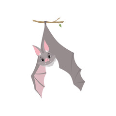 Funny bat hanging upside down on a branch wrapped, gray creature monster cartoon character vector Illustration on a white background