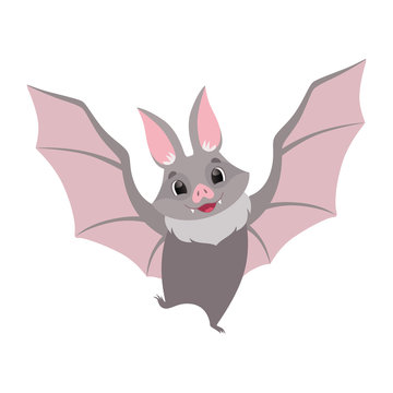 Cute bat flying, gray funny creature cartoon character vector Illustration on a white background