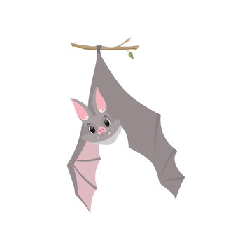 Funny bat hanging upside down on a branch wrapped, gray creature monster cartoon character vector Illustration on a white background