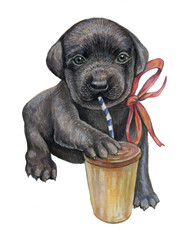 Cute puppy Labrador.Watercolor illustration for postcards