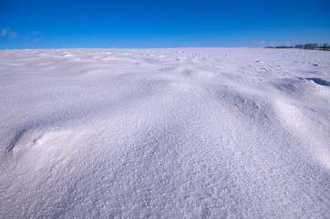 Agricultural field in a winter season. The field is covered with snow after snowfall. White snow and blue sky. Arable land covered with snow