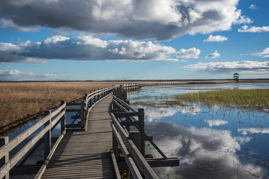 Wooden path to the lake.