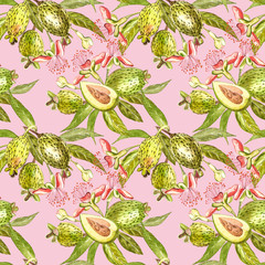 Watercolor illustration feijoa plant. Hand drawn watercolor painting on white background. Watercolor seamless pattern background with feijoa fruit.
