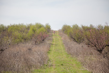 a woman in a pink dress runs forest road