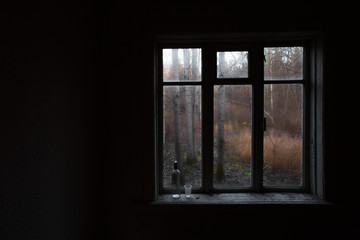 Fototapeta premium autumn depression..Empty vodka bottle and glass.