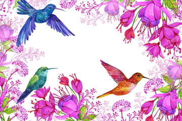 floral background with exotic flowers and Hummingbird birds,illustration for greeting cards on isolated white background