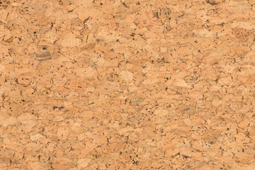 Background and Texture  of  Cork Board Wood Surface