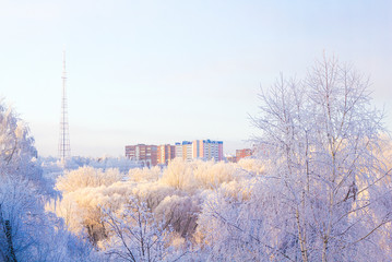 Apartment buildings in the city in the winter and snow covered trees. Russia