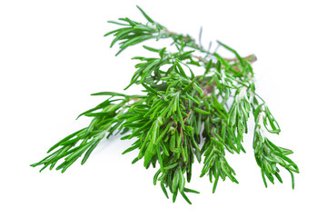 fresh rosemary bunch isolated on white background