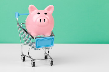 Pink piggy bank with shopping cart © NewFabrika
