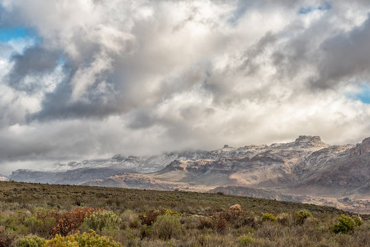Fynbos and snowy mountain landscape seen from the Kromrivier Pass