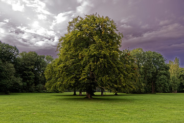 M&uuml;nchen, Englischer Garten