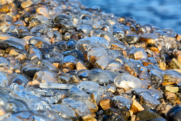 Stones on the shore covered with transparent ice