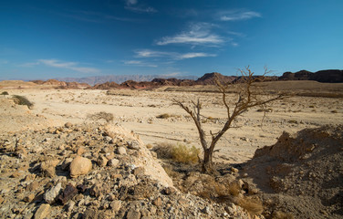 Volcanic landscape in national geological Timna park, Israel. 
It is located 25 km north of Eilat and combines beautiful scenery with unique geology, variety of sport and family activities

