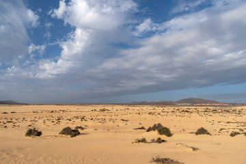 Corralejo Dunes Natural Park, Fuerteventura, Spain