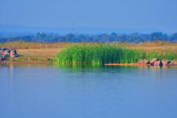 landscape with lake 