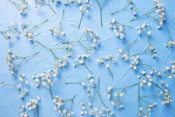 Pattern from fresh white gypsofila  flowers onvblue textured background.