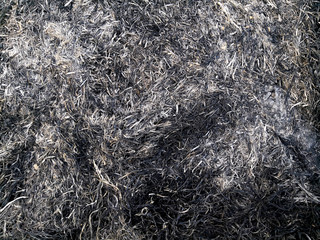 Fototapeta na wymiar Straw rice is burned in the field