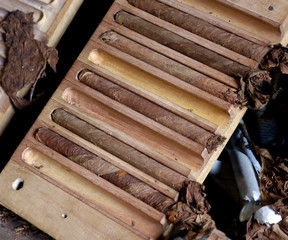 Closeup of handmade cigars