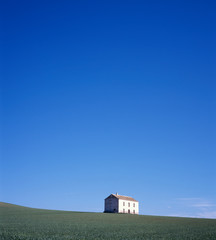 Little summer house in grass field