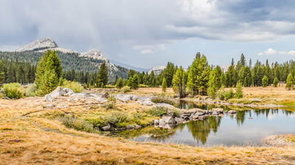 Fototapeta na wymiar Yosemite National Park Tuolumne Meadows