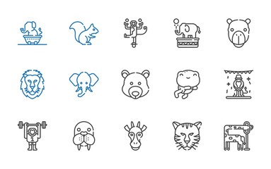 zoo icons set