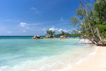 Littoral sauvage de l'île de Praslin, Seychelles