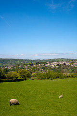 Fototapeta premium Picturesque Painswick in The Cotswolds, UK