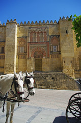 La Mezquita gate with horses, Córdoba, Spain