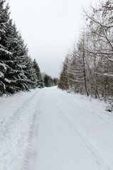 The winter landscape with forest, lake in the bad weather condition
