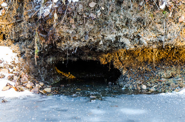Beaver dwelling. Entrance to the beaver hole