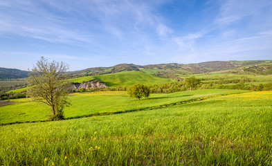 Fototapeta na wymiar Peaceful Toscana Val d'Orcia fields landscapes