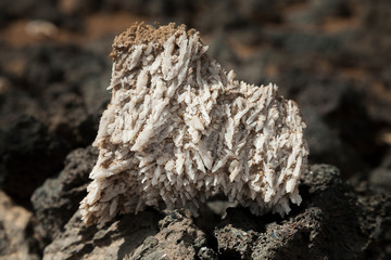 block of crystals of seesalt
