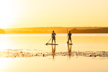 Men, friends paddling on a SUP boards