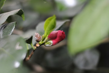 Wilhelma Tiere Pflanzen fische