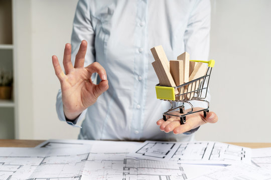 Consumer and consumerism choice and choose concept. Confident lady in her formal wear stand inside bright workstation demonstrate ok-sign. She hold shopping cart object with wooden element in hand