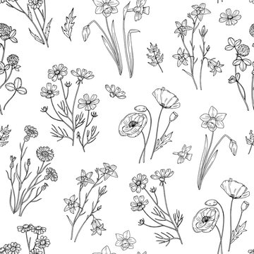 Wild flower pattern. Floral seamless wallpaper with wildflowers. Vintage fabric vector background. Illustration of seamless pattern wild flower summer