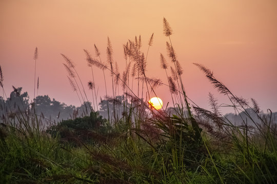 Pinky Orange Sky at Sunrise in the Morning in Chitwan National Park in Nepal