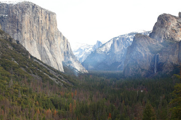 View of Yosemite National Park in USA