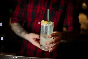 Bartender serving a Gin Fizz cocktail with tubule in the decorative glass