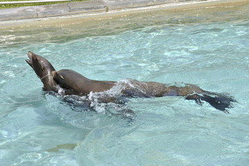 Wilhelma Tiere Pflanzen fische