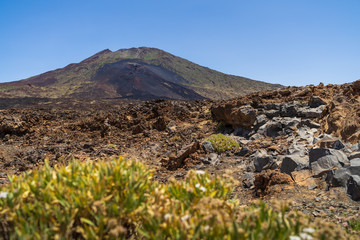 The lava fields of Teide volcano. Tenerife. Canary Islands. Spain.